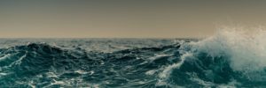 Lire la suite à propos de l’article Face à la Vague