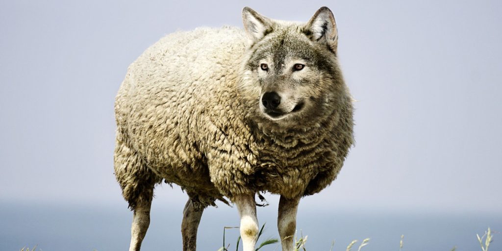 Gardez-vous des faux prophètes