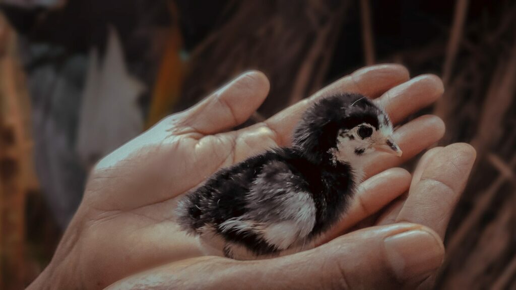 Entouré par l’Eternel