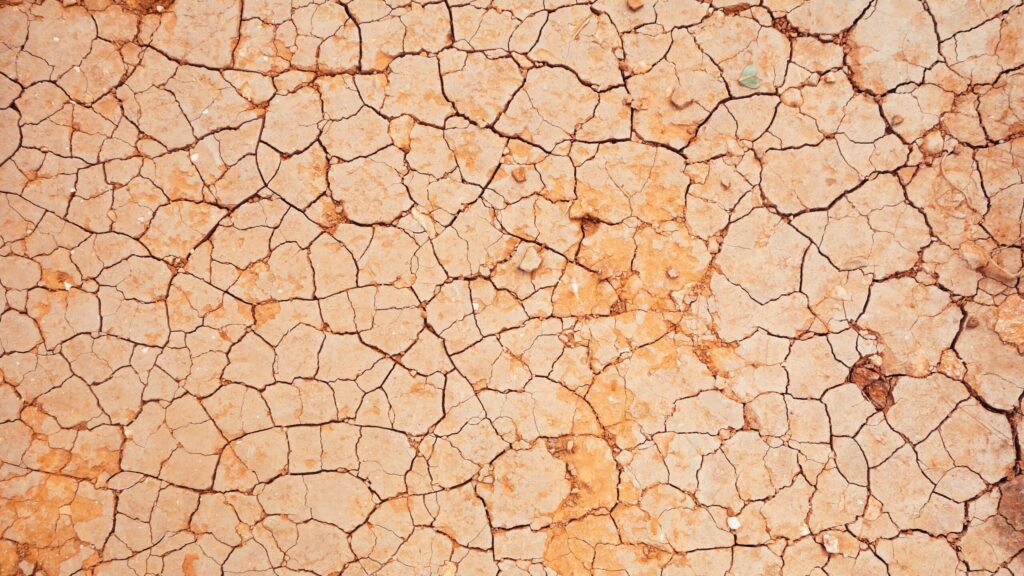 Que faire dans le désert ?