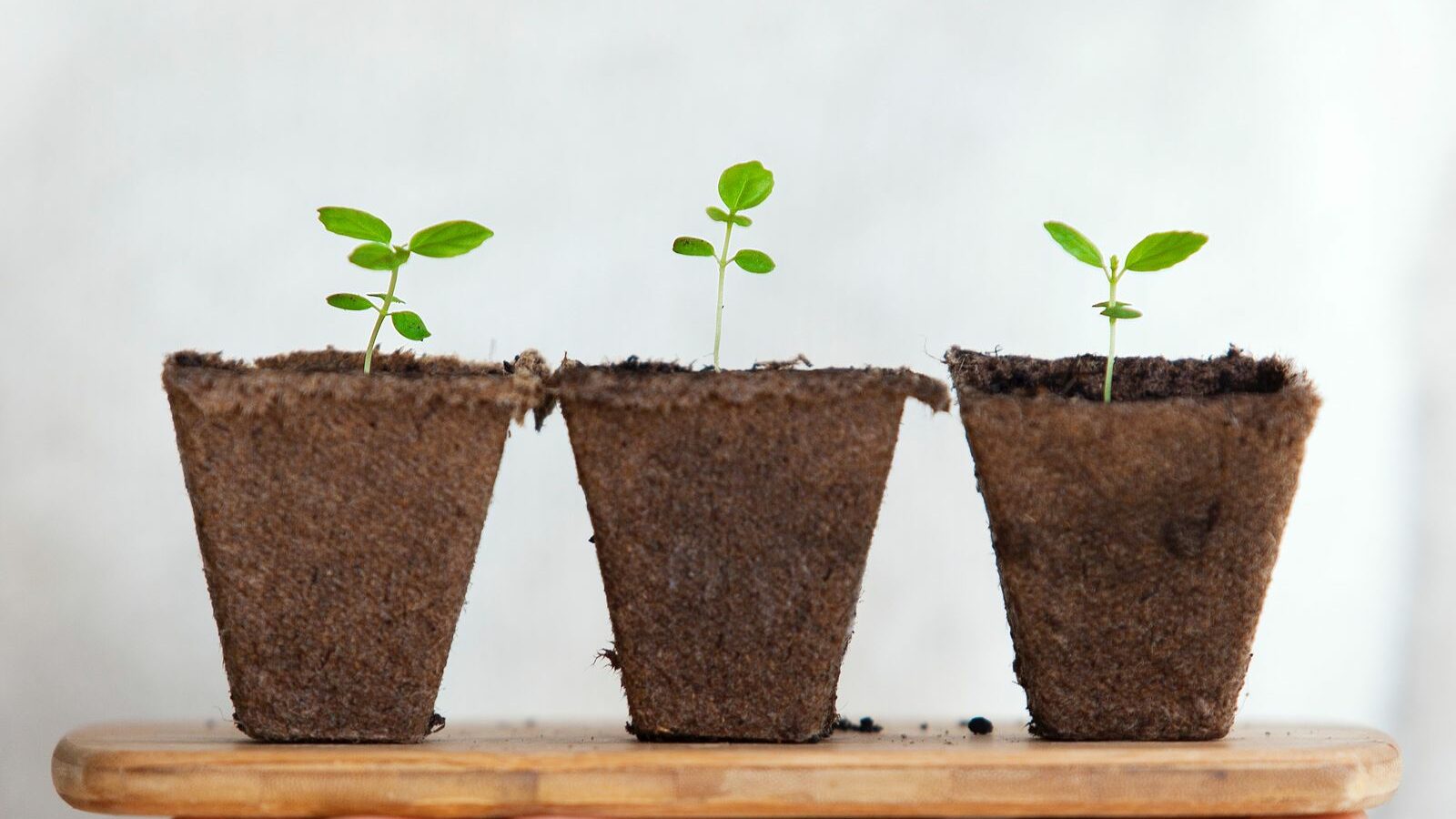 3 Choses à Cultiver