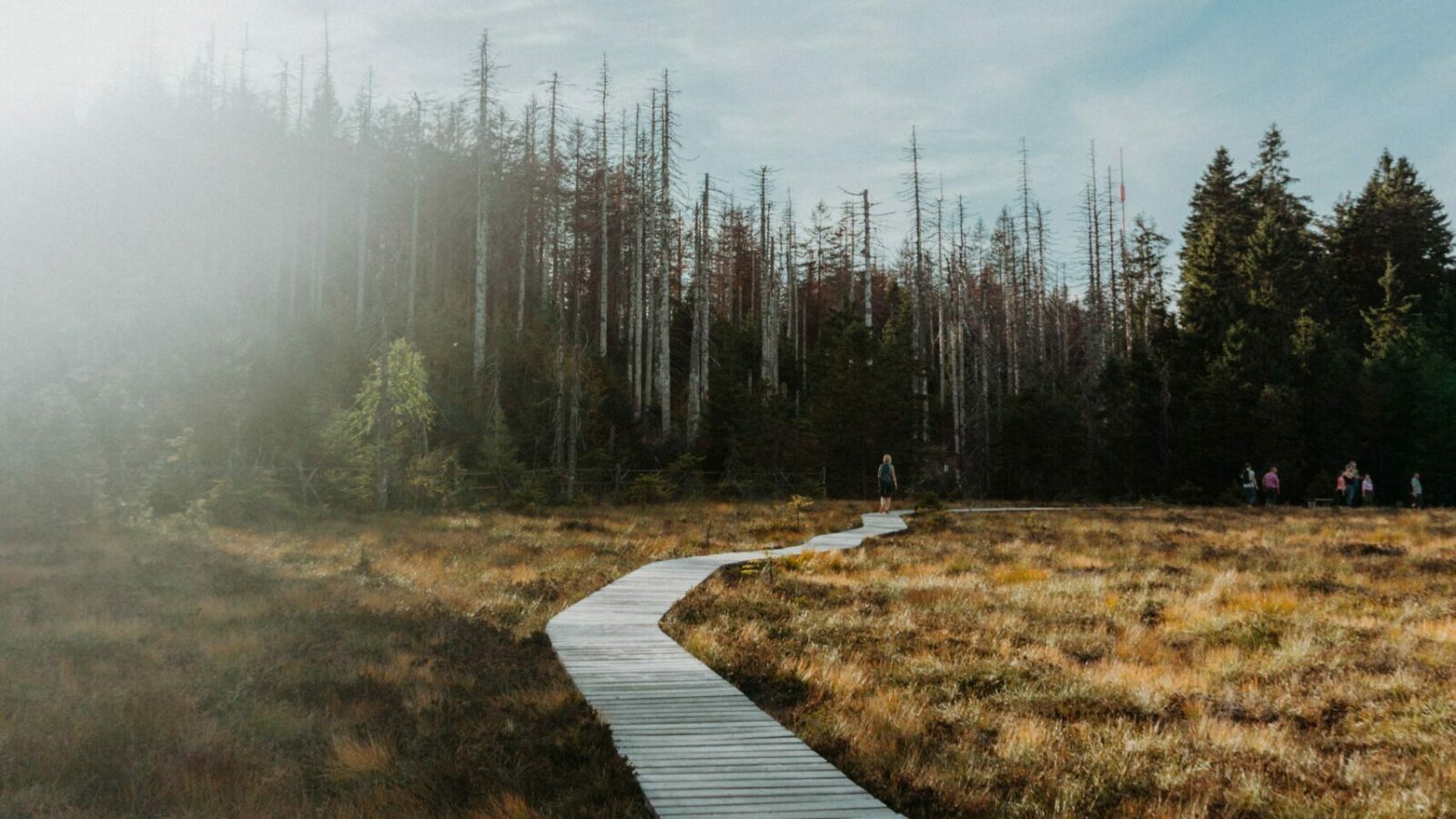 Le Mystère de la Piété